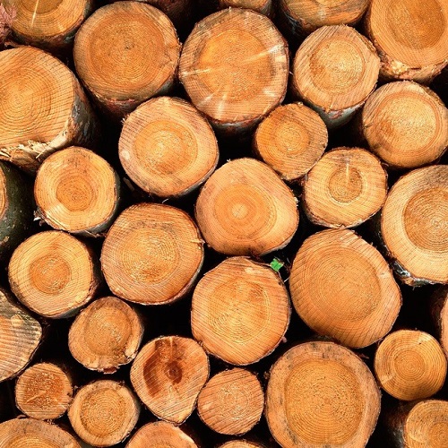 Купить сухие и чистые дрова в Ломоносовском районе СПб